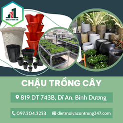 Chậu trồng cây
